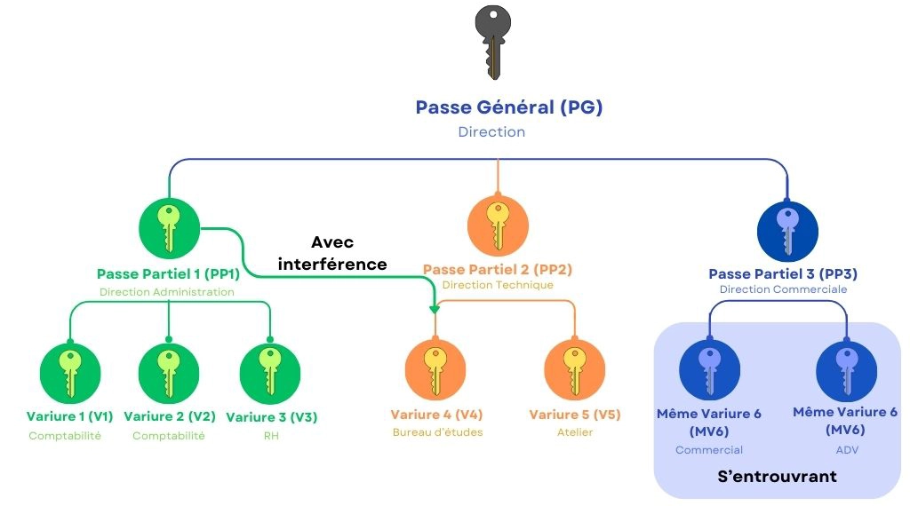 Schéma d'un organigramme Decayeux