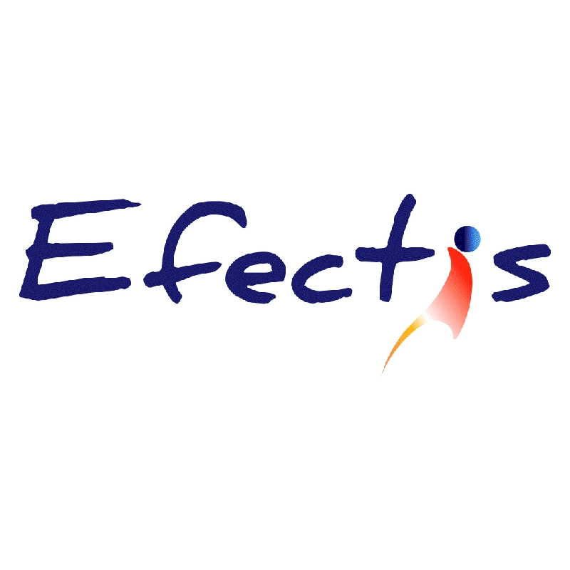 Logo Efectis trappe