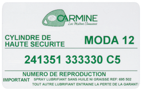 carte identité moda 12